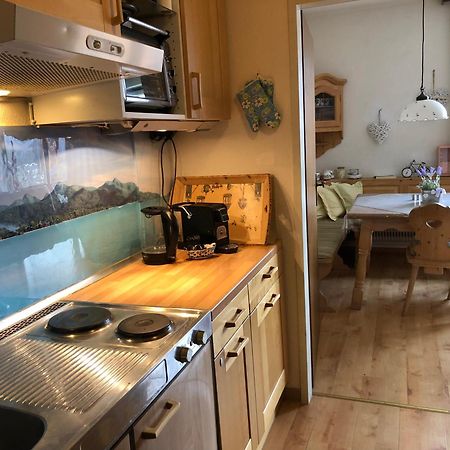 Wohlfuehlapartment Dachsteinblick Bad Goisern Dış mekan fotoğraf