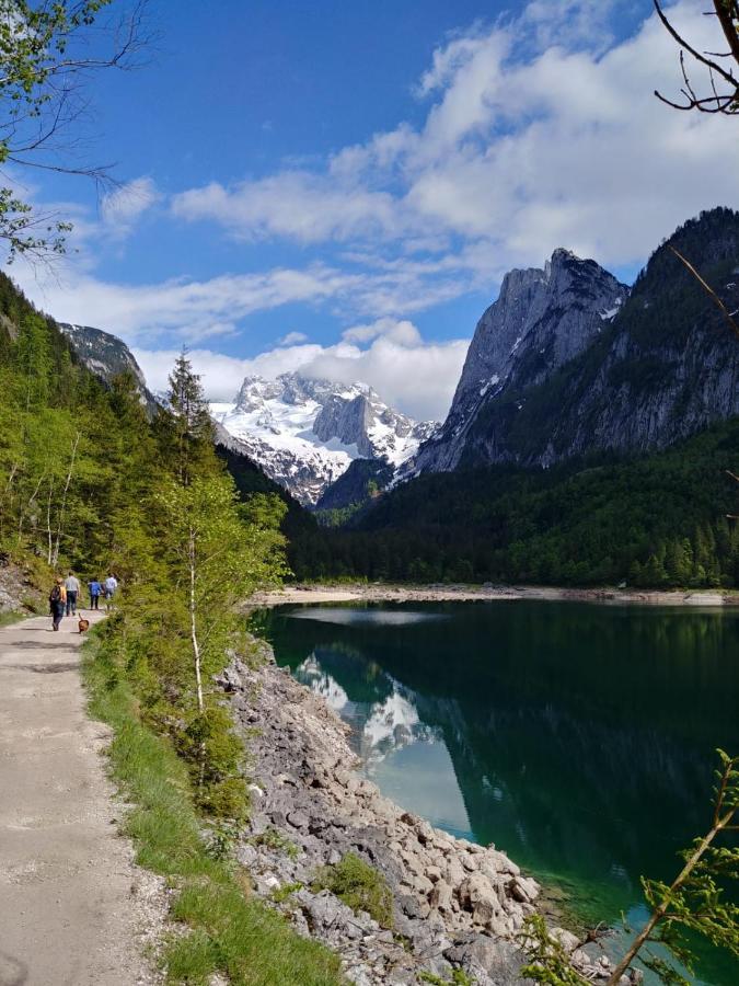 Wohlfuehlapartment Dachsteinblick Bad Goisern Dış mekan fotoğraf